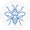 Urmston Hornet Nest Removals