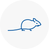 Mice Exterminators In Urmston