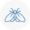 Moth Control Specialists In Urmston