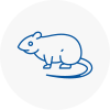 Rat Control Urmston