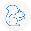 Urmston Rodent Removals